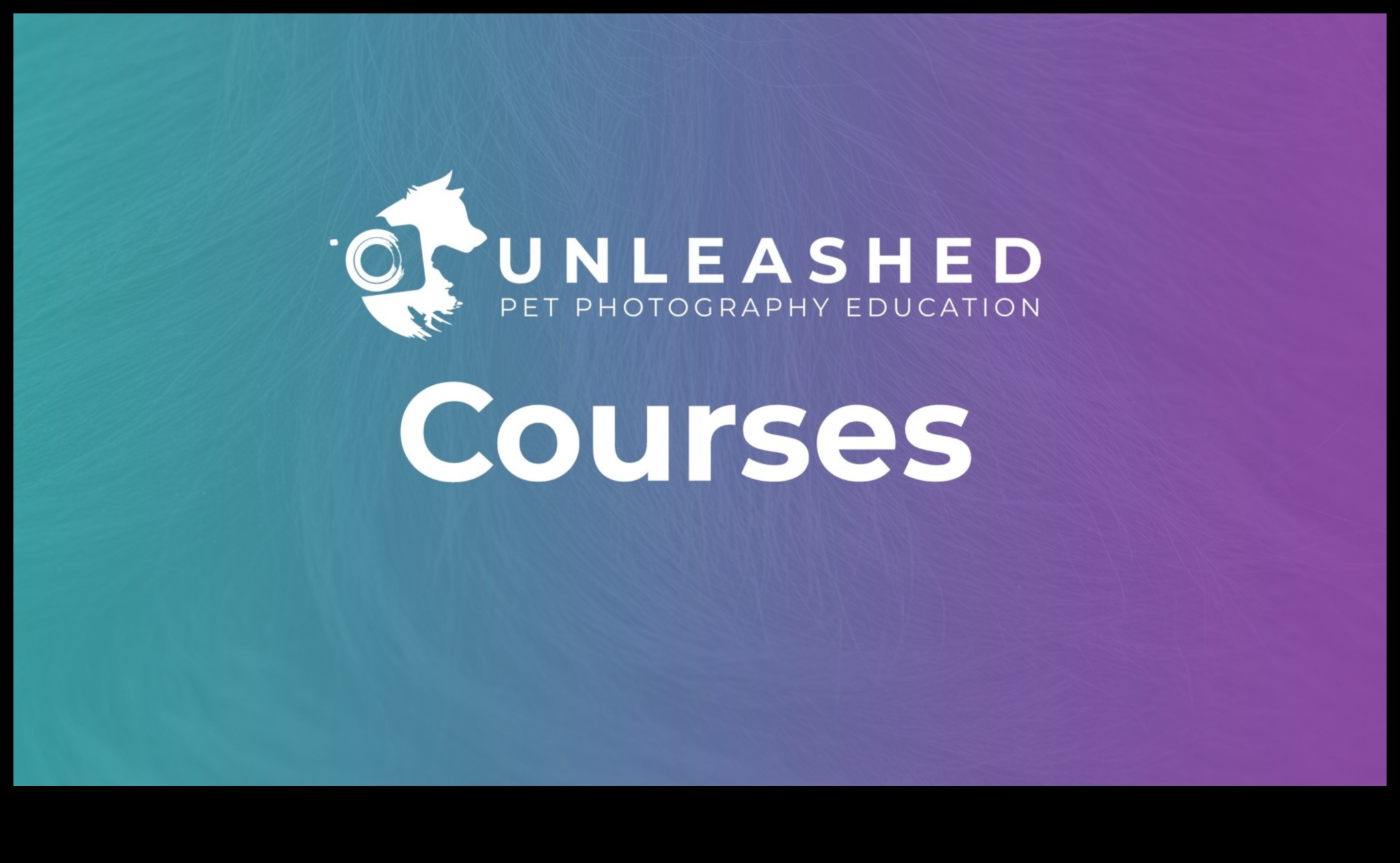 צילום משוחרר: צלול לתוך שליטה עם חינוך מומחים