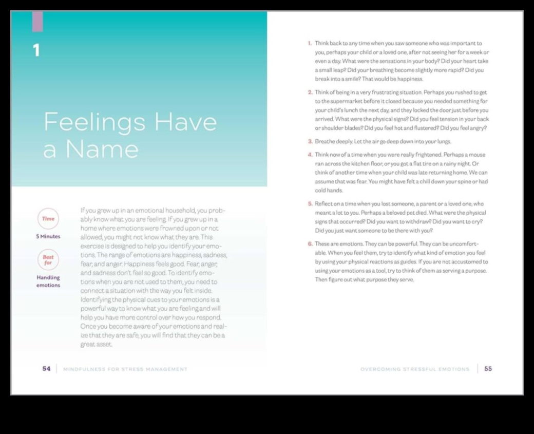 מיינדפולנס רגעי דרכים להוריד מתח ולשפר את חייך 4 רגעי מיינדפולנס: בן לוויה היומי שלך מלחיץ