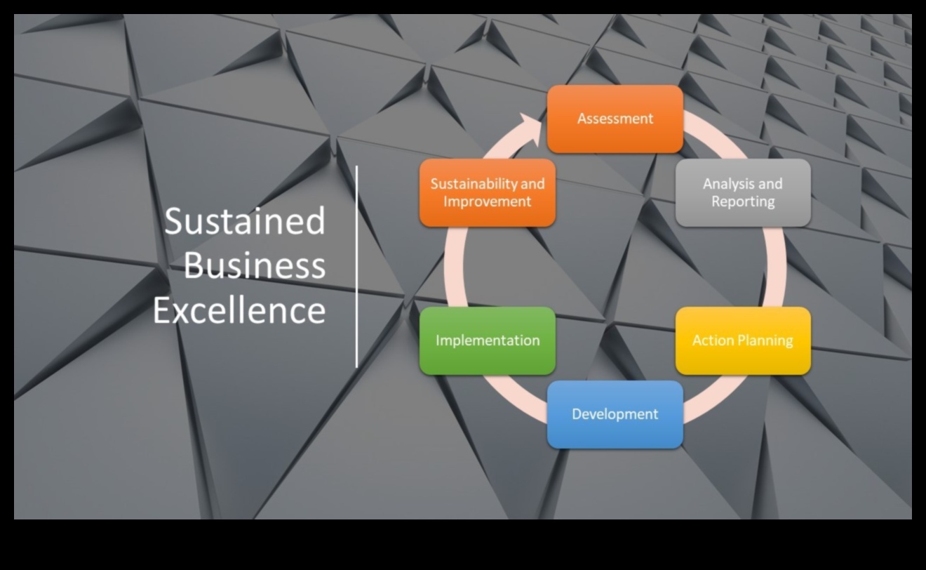תכנון לטריומף: האצת צמיחה באמצעות מצוינות עסקית