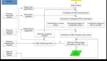 הרמוניה בפורטפוליו: איזון צורה ותפקוד להשפעה מרבית