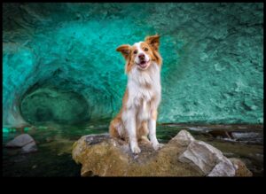 צילום משוחרר: צלול לתוך שליטה עם חינוך מומחים