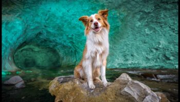 צילום משוחרר: צלול לתוך שליטה עם חינוך מומחים