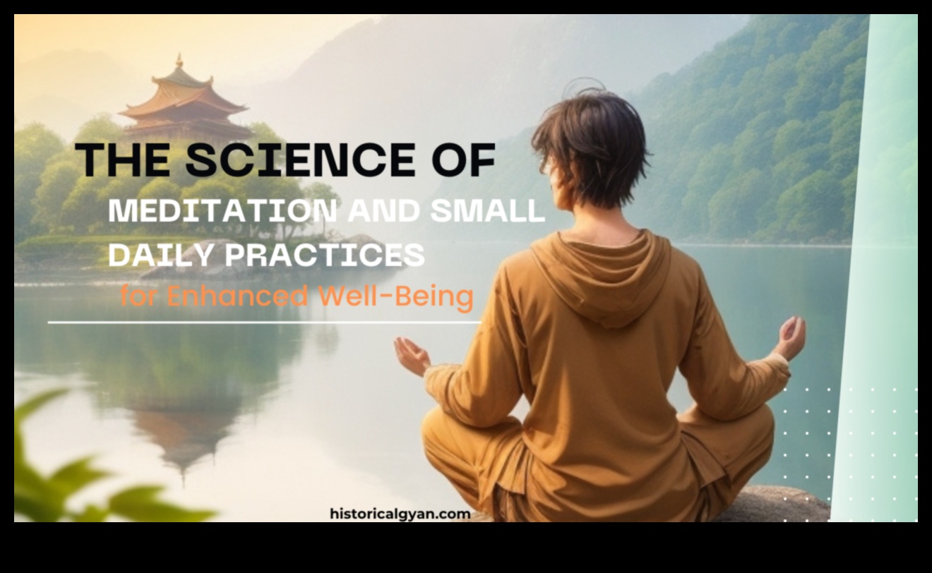 רגעים מודעים: מהות המדיטציה נחשפה